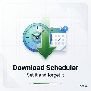 IDM官网 - IDM自定义界面设置